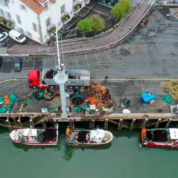 Quai Saint-Jean-de-Luz débarquement algue rouge détachée du fond